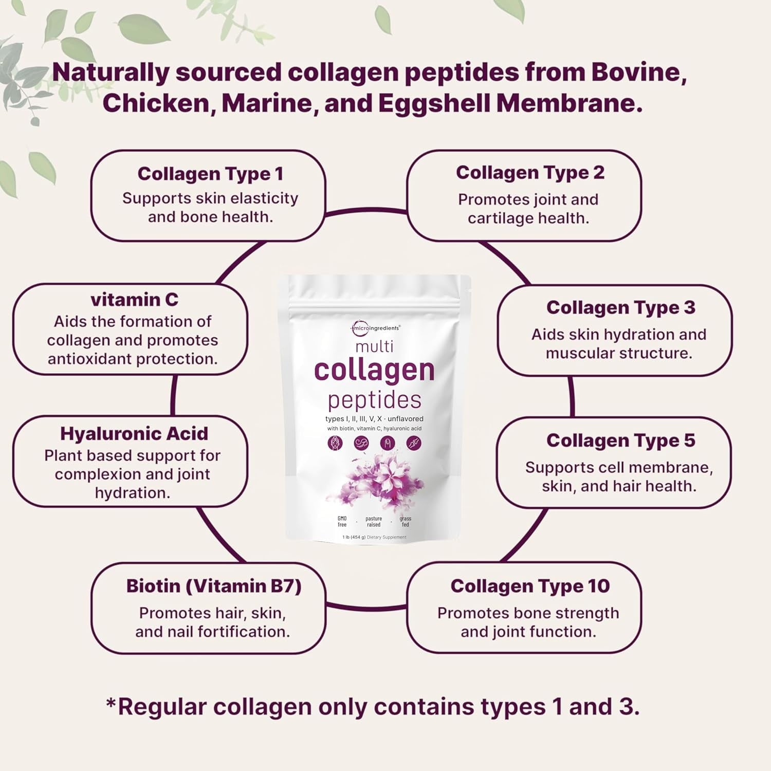 Micro Ingredients Multi Collagen Protein Powder, 2lb | Type I,II,III,V,X with Biotin, Hyaluronic Acid, Vitamin C - Unflavored Collagen Peptides
