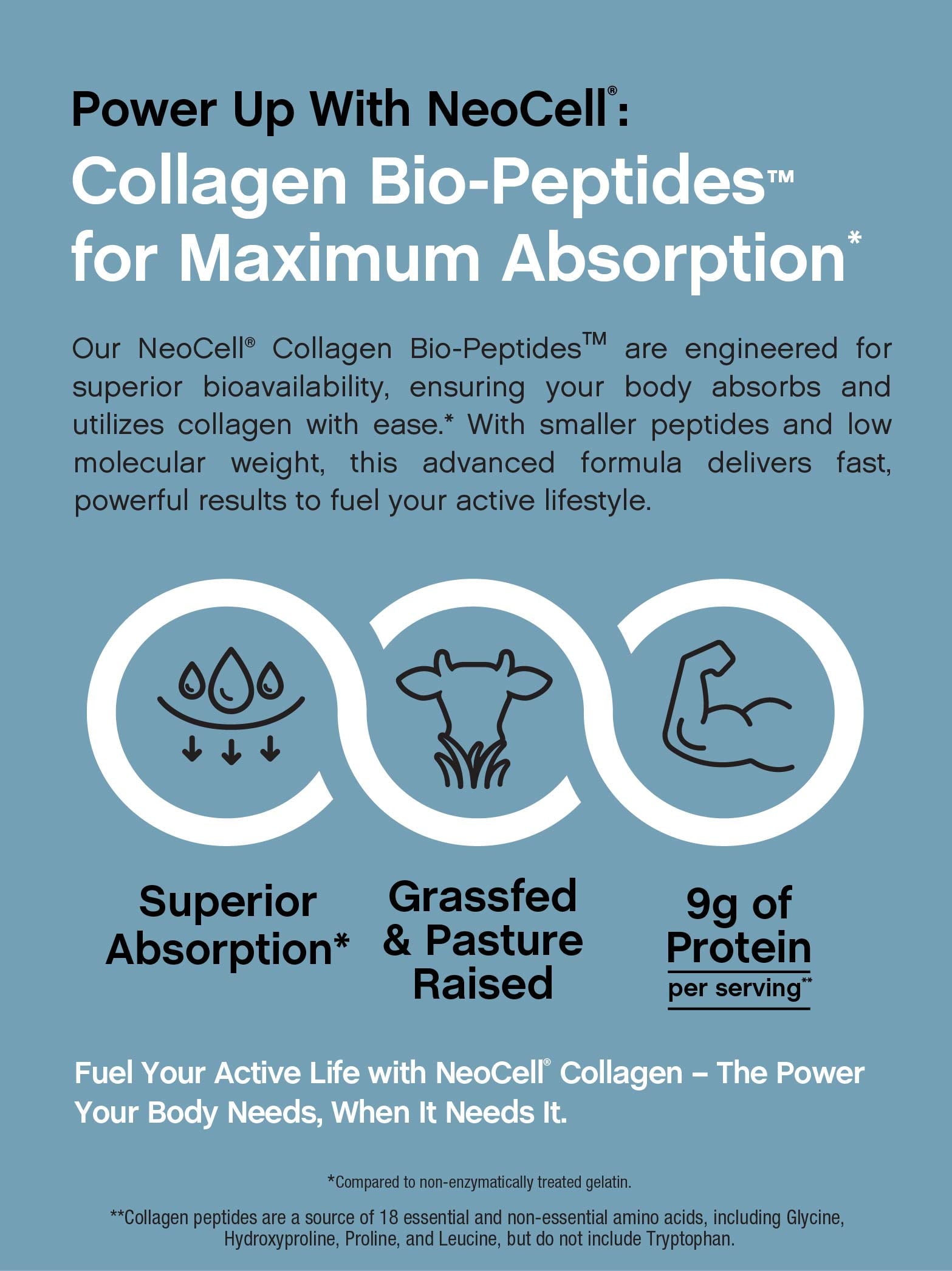Collagen Bio-Peptides Powder | 22oz | Super Hair, Skin, Nails | Grassfed Protein Supplement | by NeoCell