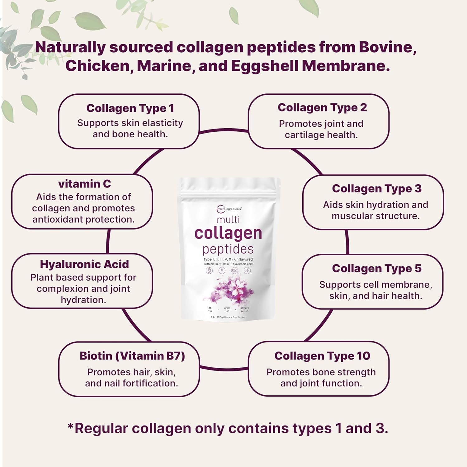 Micro Ingredients Multi Collagen Protein Powder, 2lb | Type I,II,III,V,X with Biotin, Hyaluronic Acid, Vitamin C - Unflavored Collagen Peptides